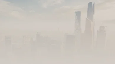 النظام الجديد لرسوم الأراضي البيضاء